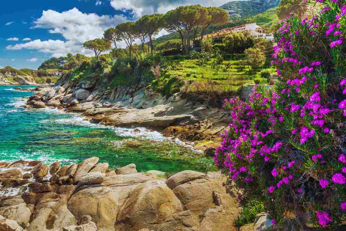 marciana