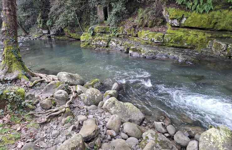 torrente ciuffenna